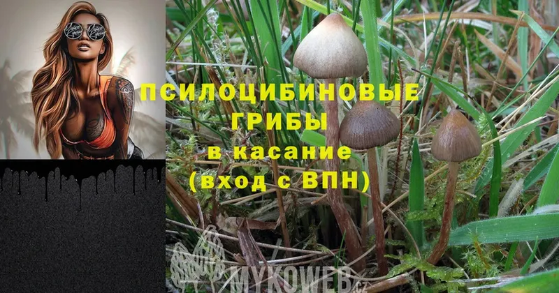 Галлюциногенные грибы MAGIC MUSHROOMS  даркнет клад  Азнакаево 